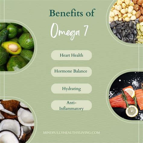 omega 7 canada|omega 7 benefits and side effects.